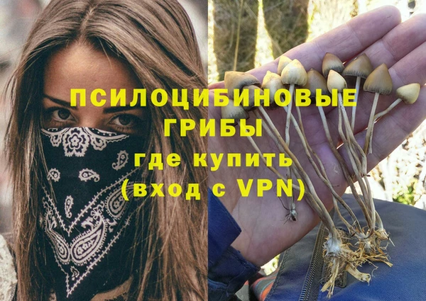бошки Аркадак
