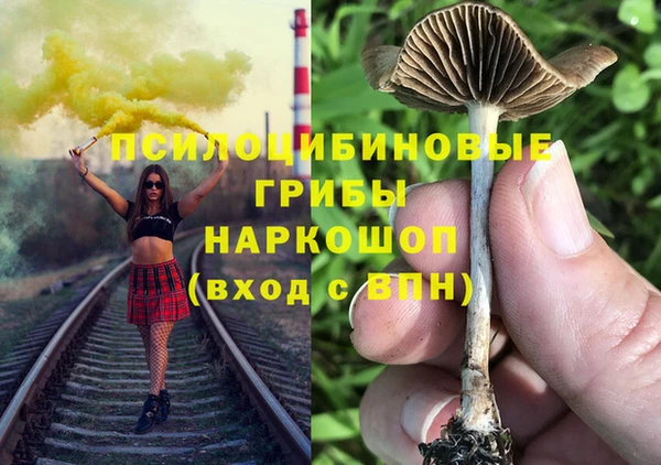 бошки Аркадак