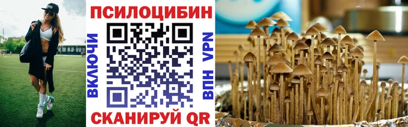 Купить  Томари  Галлюциногенные грибы Psilocybine cubensis 