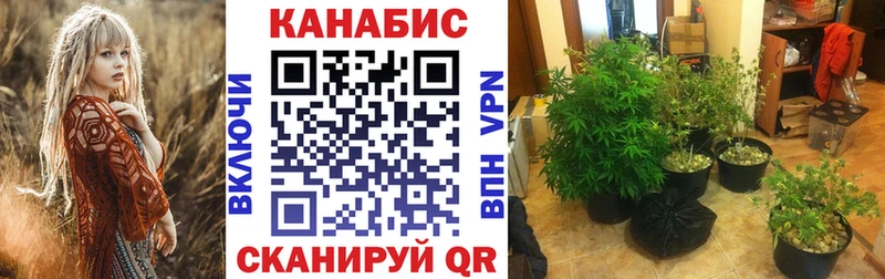 Бошки Шишки Ganja  Купить где  Томари 